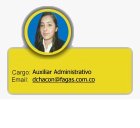 auxiliar